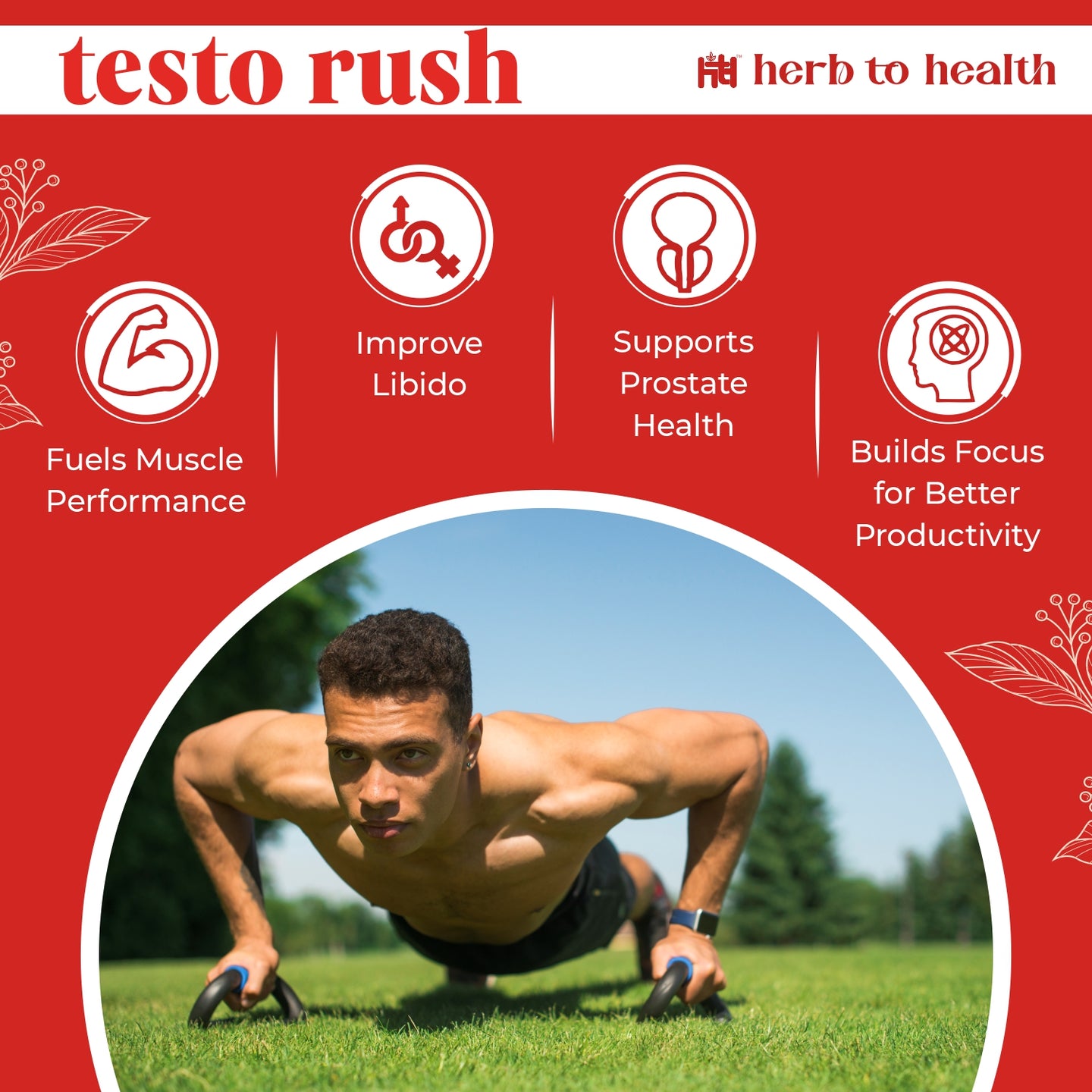 Herb to Health Testo Rush for Strength & Stamina, 60 Capsules